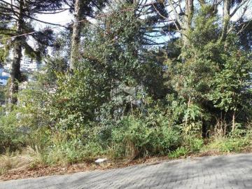 TERRENO A VENDA NA RESERVA GRASSELLI, BENTO GONÇALVES