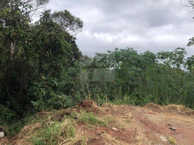 Terreno à venda na Vila São Pedro
