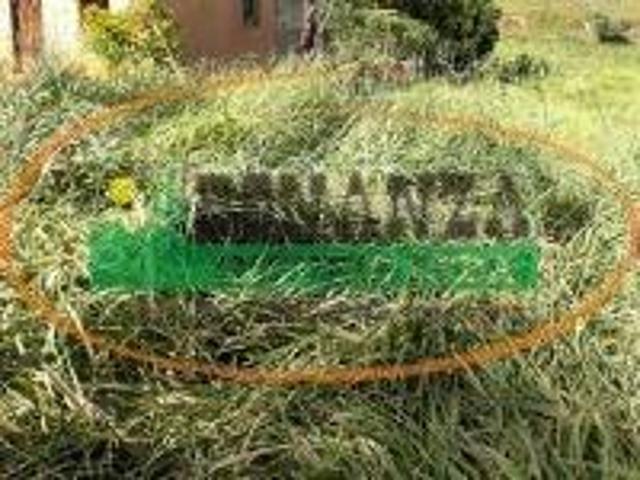 Terreno à venda na Zona Rural