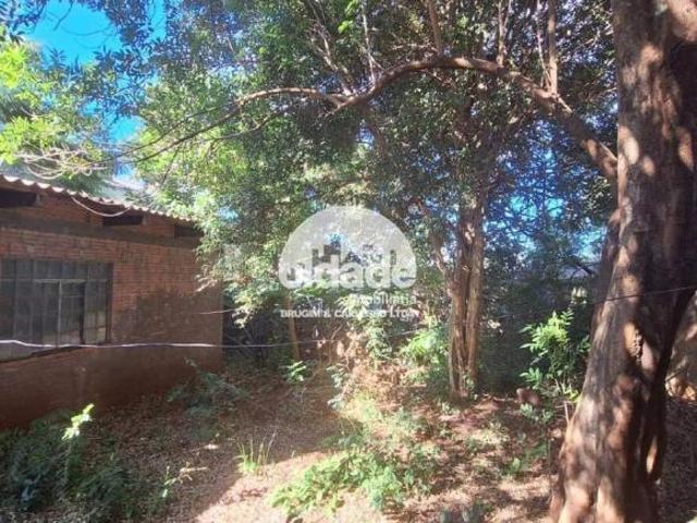 Terreno á venda Neva Cascavel PR