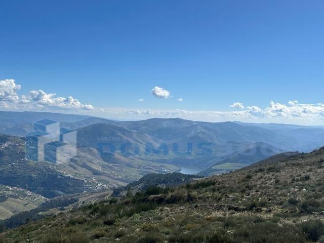 Terreno à venda Sabrosa, Portugal