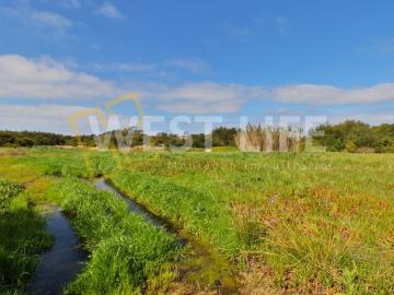 Terreno de 45000 m2 à venda Santa Cruz, Torres Vedras, Lisboa