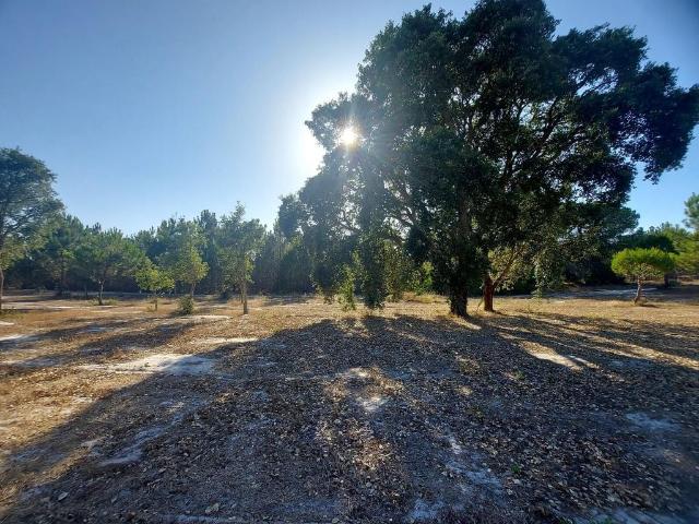 Terreno à venda Santiago do Cacém, Setúbal