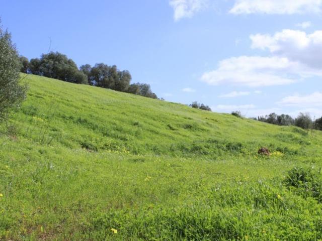 Terreno à venda Santiago do Cacém, Portugal