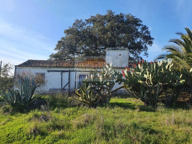 Terreno à venda Serra, Grândola, Setúbal