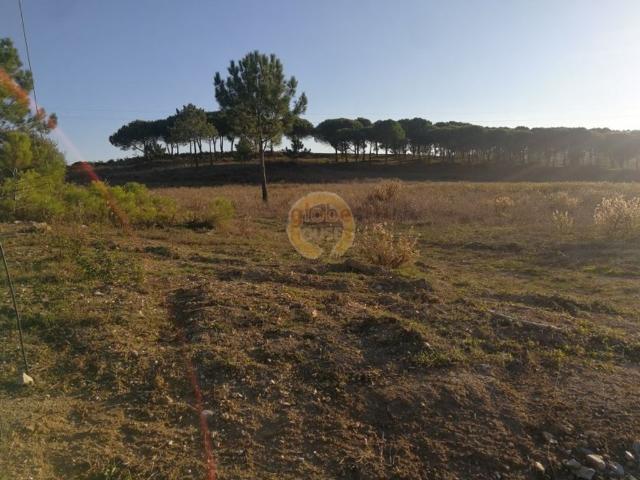 Terreno à venda Sesimbra, Setúbal