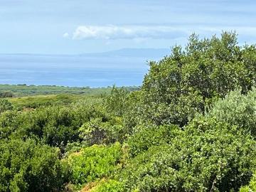Aldeia Nova de Azoia, Castelo, Sesimbra