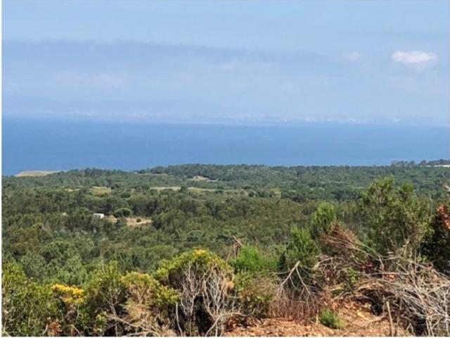 Terreno à venda Sesimbra, Setúbal