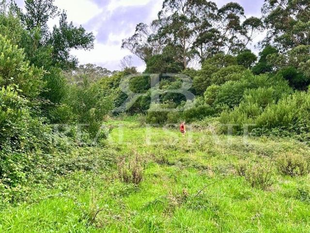 Terreno à venda Sintra, Portugal