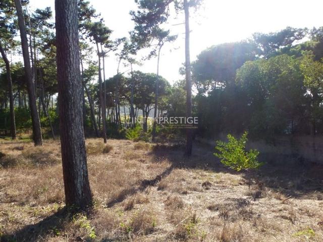 Terreno à venda Sintra, Portugal