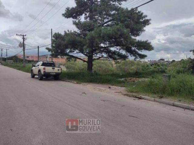 Terreno, à Venda por R$ 11.200.000,00 Eucaliptos, Fazenda Rio Grande Pr