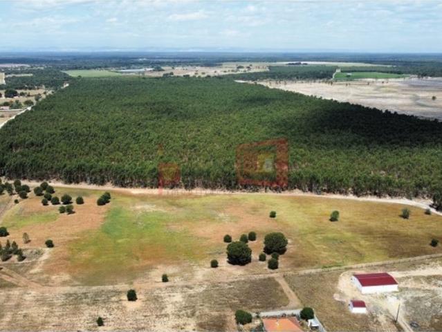 Terreno à venda Palmela, Portugal