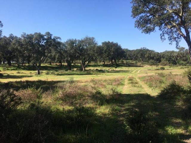 Terreno à venda Palmela, Portugal