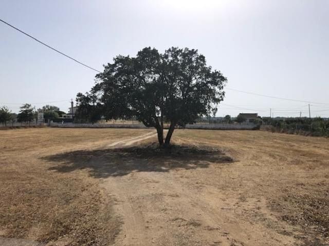 Terreno à venda Palmela, Setúbal