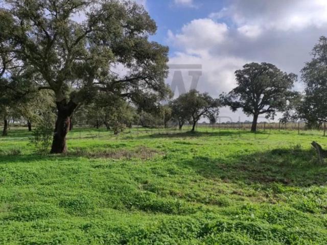 Terreno à venda Palmela, Setúbal