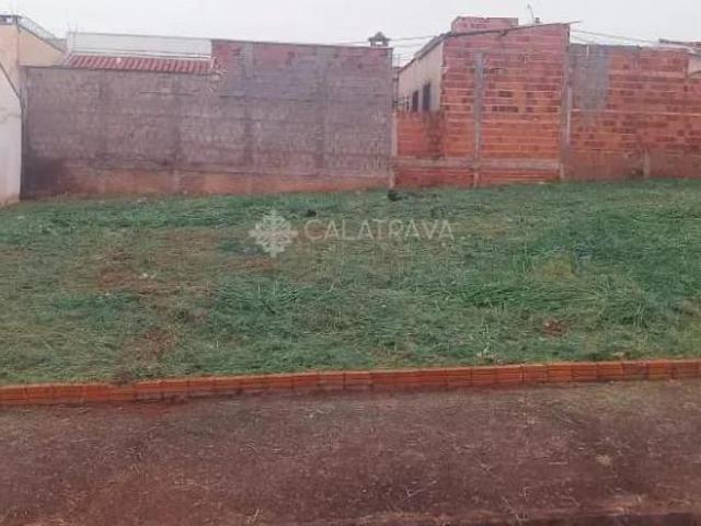 Terreno à venda, Parque Residencial J. Macedo, São José do Rio Preto, SP