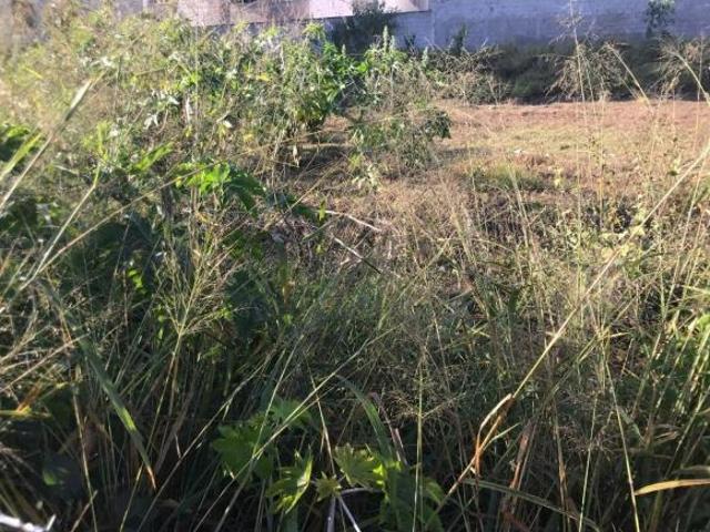 Terreno à venda Parque Xangri Lá