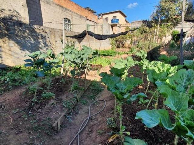 Terreno à venda Parque Xangri Lá