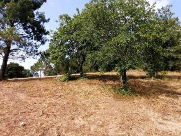 Terreno à venda Pinhal, Óbidos, Leiria