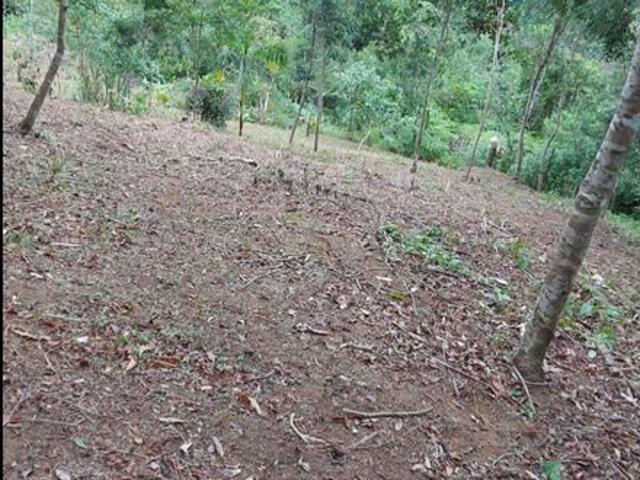 Terreno à venda Praia da Fortaleza, Ubatuba, São Paulo