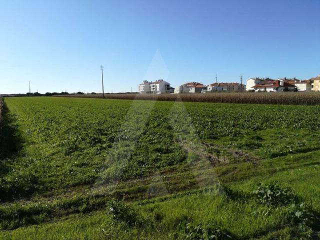 Terreno à venda Praia da Vagueira, Vagos, Aveiro