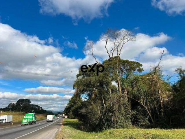 Terreno a venda rodovia BR 376 Sao Jose dos Pinhais