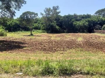 Terreno à venda, Residencial Torrezan Saltinho/SP