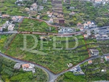Terreno à venda Ribeira Brava, Madeira