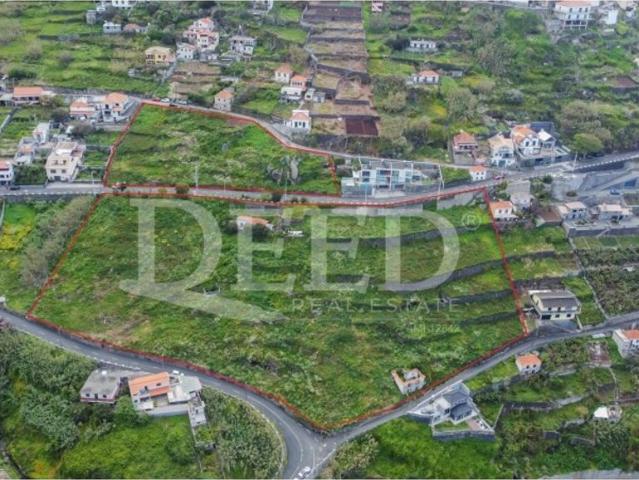 Terreno à venda Ribeira Brava, Madeira
