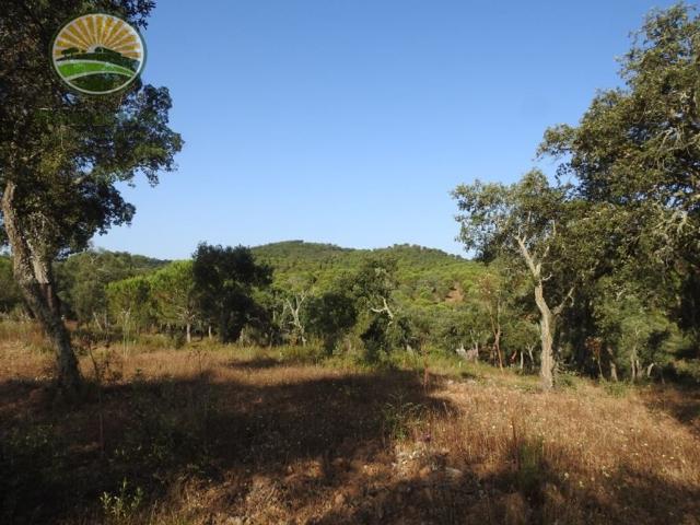 Terreno à venda Ribeira dos Lameiros, Odemira, Beja
