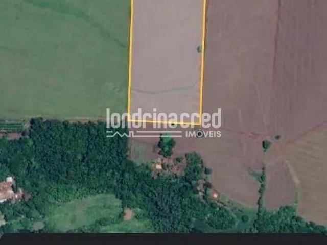 Terreno à venda, RURAL, Assaí, PR