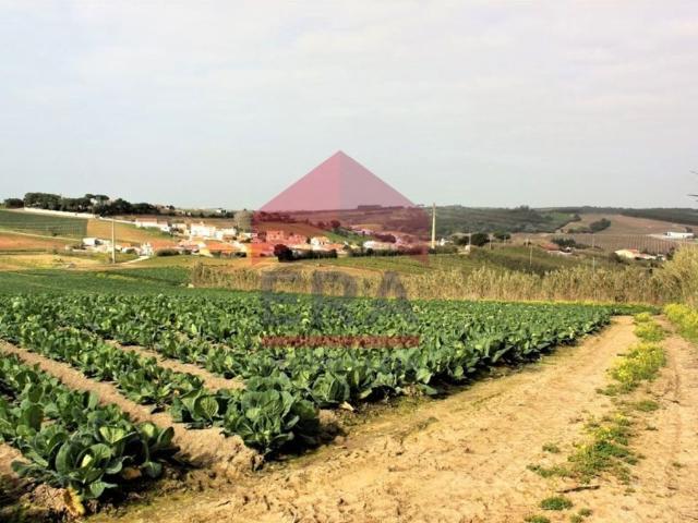 Terreno à venda Toxofal de Baixo, Lourinhã, Lisboa