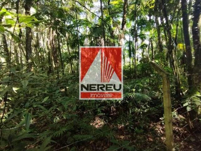 Terreno à Venda – Topografia excelente – Juquitiba/SP