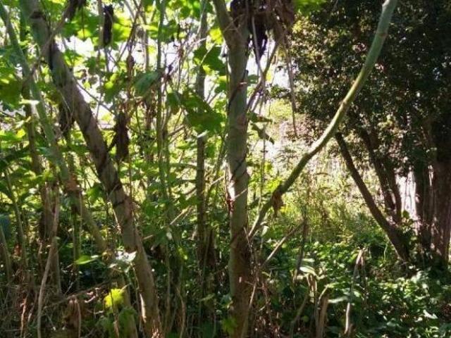 Terreno à venda Taboão São Bernardo do Campo SP