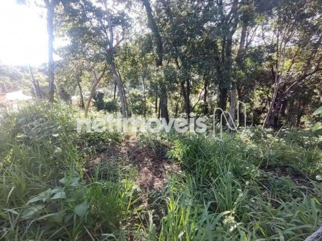 Terreno à Venda, Tropical, Contagem