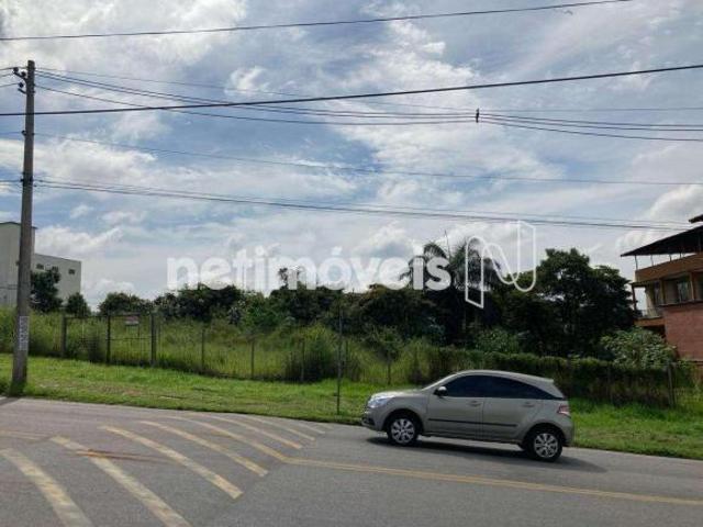 Terreno à Venda, Tropical, Contagem