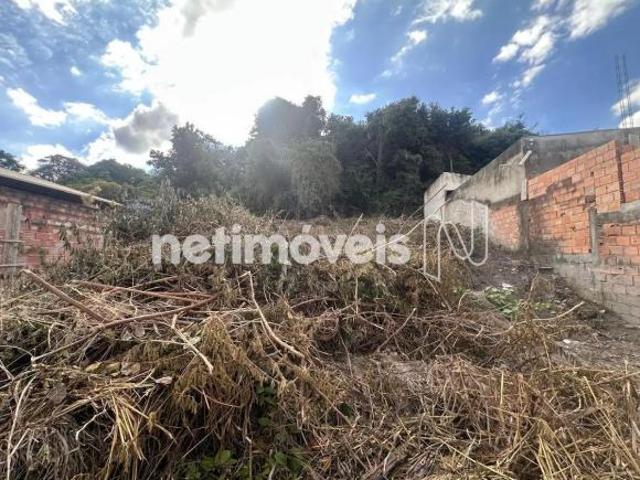 Terreno à Venda, Tropical, Contagem