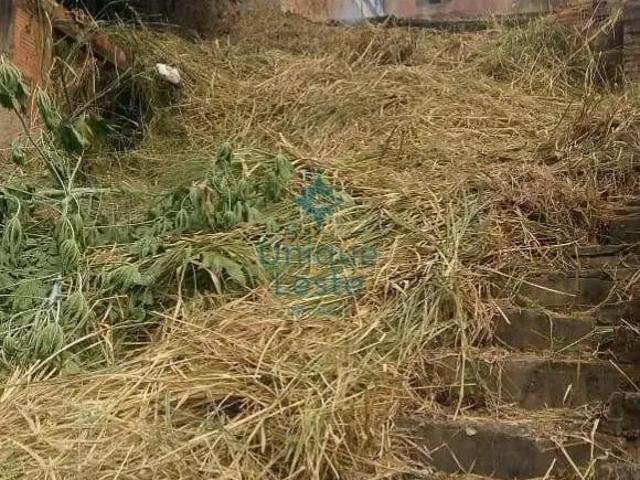 Terreno à venda, União, Belo Horizonte, MG
