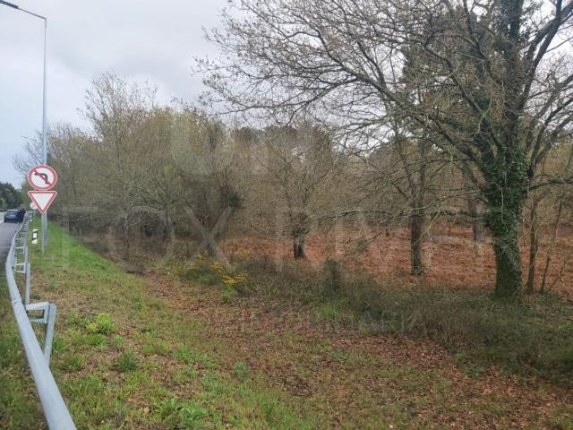 Terreno à venda Viana do Castelo, Portugal