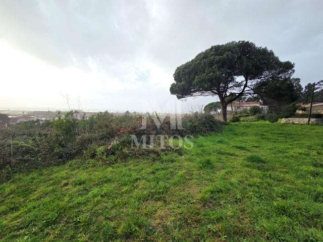 Terreno à venda Viana do Castelo, Portugal