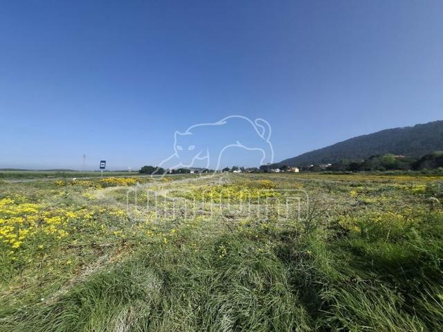 Terreno à venda Viana do Castelo, Portugal