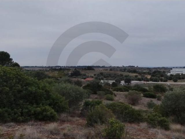 Terreno à venda Videla, Torres Novas, Santarém