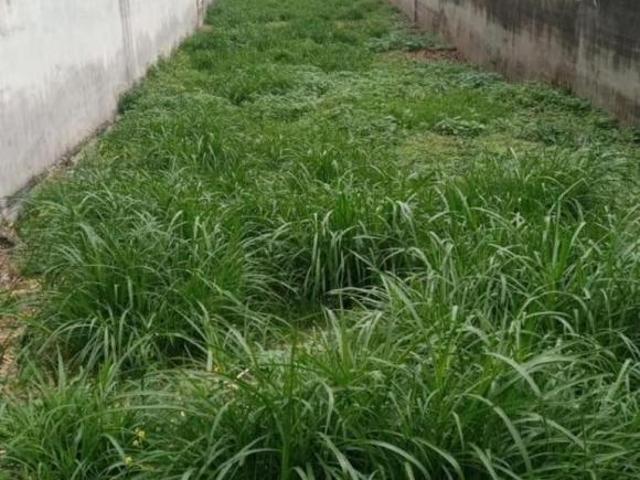 Terreno à Venda Vila Valparaíso em Santo André 800 m² para Empreendimentos Residenciais / Comerciais