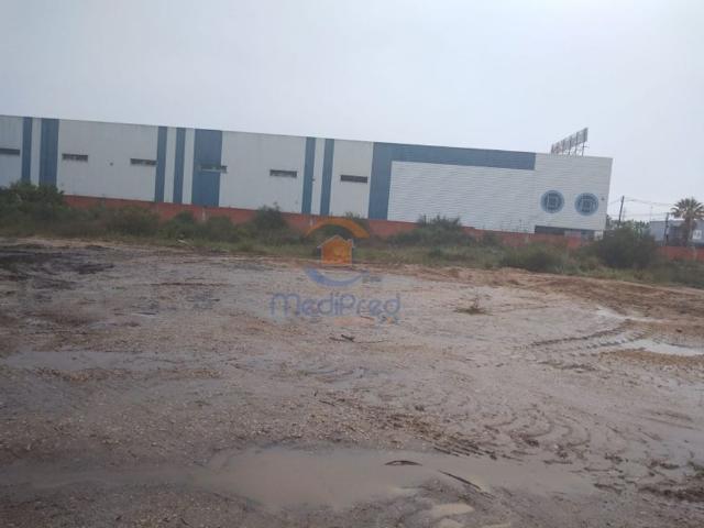 Terreno à venda Vila Amelia, Palmela, Setúbal