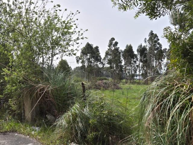 Terreno à venda Vila do Conde, Portugal