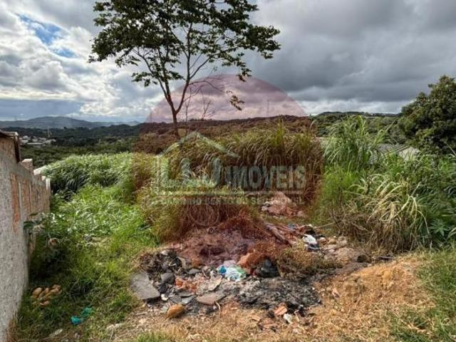 Terreno à venda, Vila Grecia, ALMIRANTE TAMANDARE PR