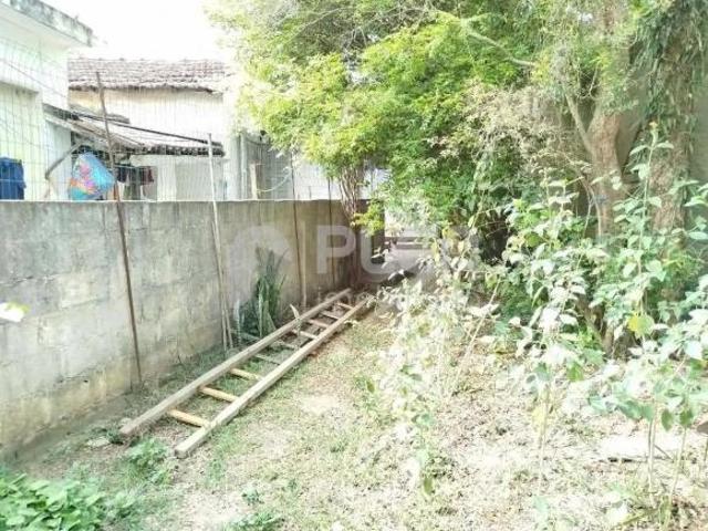 Terreno à venda, Vila Mazzei, São Paulo, SP