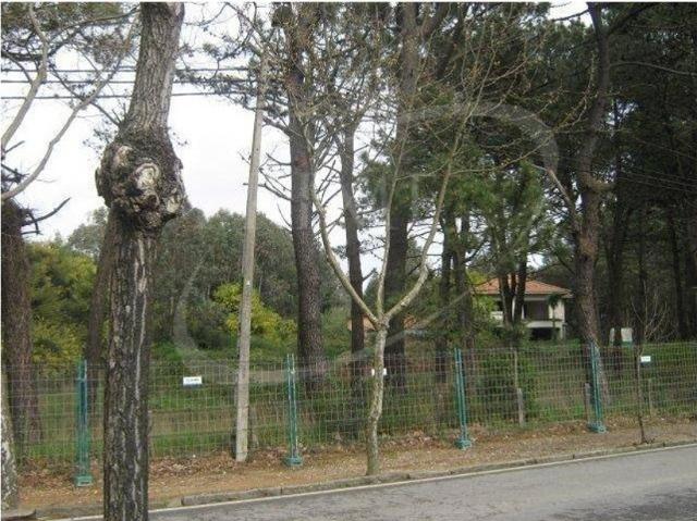 Terreno à venda Vila Nova de Gaia, Portugal