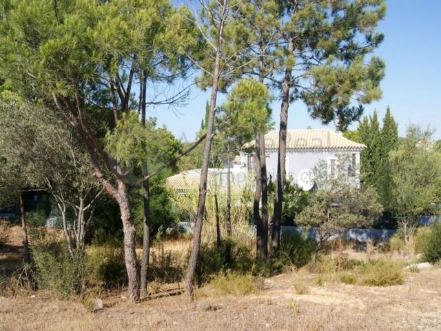 Terreno à venda Vilas Alvas, Loulé, Faro