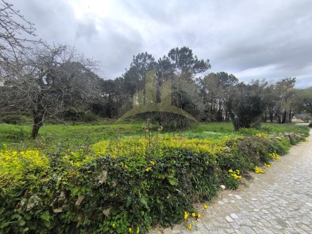 TERRENO Afife, Viana do Castelo